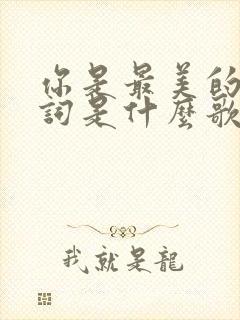 你是最美的花歌词是什么歌