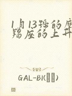 1月13号的摩羯座的上升星座
