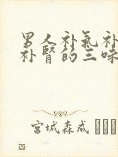 男人补气补血又补肾的三味中药