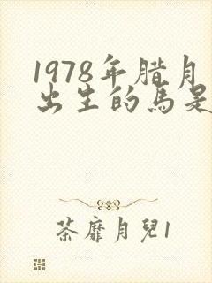 1978年腊月出生的马是什么命