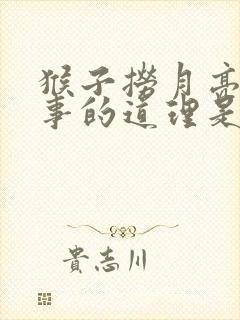 猴子捞月亮的故事的道理是什么