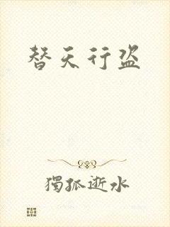 替天行盗
