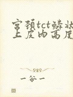 宫颈tct鳞状上皮内高度病变