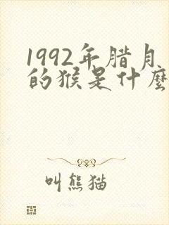 1992年腊月的猴是什么命封面