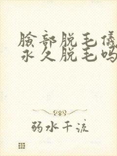 脸部脱毛仪真的永久脱毛吗