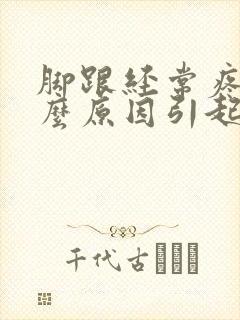 脚跟经常疼是什么原因引起的