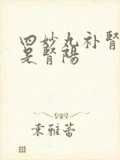 四妙丸补肾阴还是肾阳