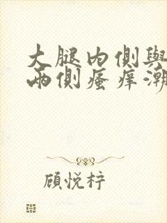 大腿内侧与阴囊两侧瘙痒潮湿发黑用什么药擦封面
