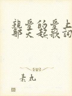 亲爱的爱上你从那天起歌词