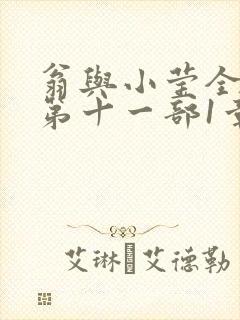 翁与小莹全目录第十一部1章封面