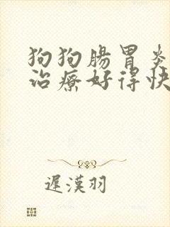 狗狗肠胃炎怎么治疗好得快