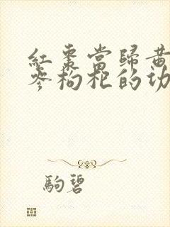 红枣当归黄芪党参枸杞的功效