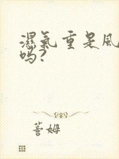 湿气重是风湿病吗?