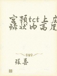 宫颈tct上皮鳞状内高度病变