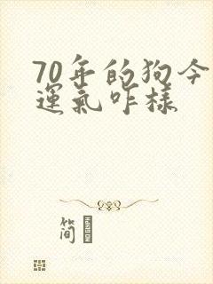 70年的狗今年运气咋样