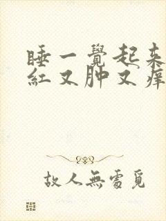 睡一觉起来脸又红又肿又痒