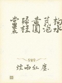 当归黄芪枸杞红枣桂圆泡水喝的功效与作用封面
