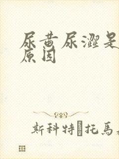 尿黄尿涩是什么原因