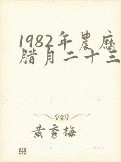 1982年农历腊月二十三是什么星座封面