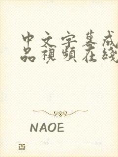 中文字幕成人精品视频在线