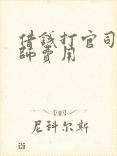 借钱打官司请律师费用