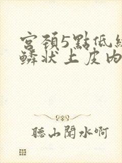 宫颈5点低级别鳞状上皮内病变是什么意思