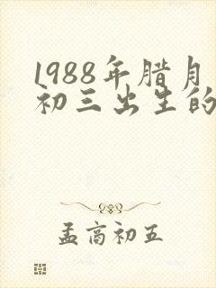 1988年腊月初三出生的人命运