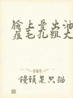 脸上爱出油长痘痘毛孔粗大封面