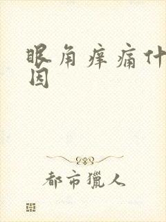 眼角痒痛什么原因封面