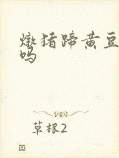 炖猪蹄黄豆要泡吗封面