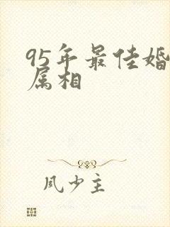 95年最佳婚配属相封面