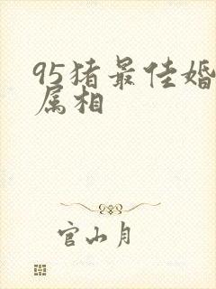 95猪最佳婚配属相