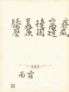 膝盖后窝疼是什么原因造成的