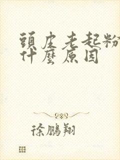 头皮老起粉刺是什么原因