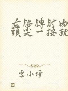 右胳膊肘内侧骨头尖一按就疼