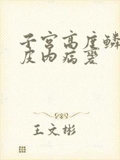子宫高度鳞状上皮内病变