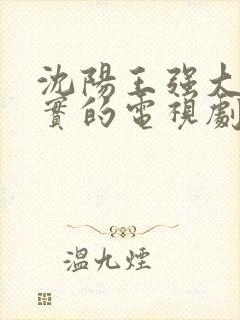 沈阳王强大案纪实的电视剧