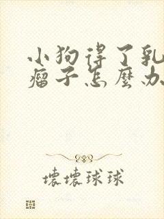 小狗得了乳腺有瘤子怎么办