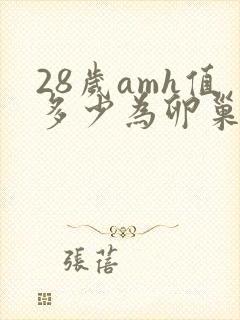 28岁amh值多少为卵巢早衰