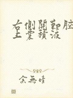 右侧关节腔及髌上囊积液封面