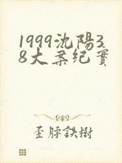 1999沈阳38大案纪实