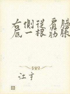右侧从肩膀到脚底一根筋胀疼封面