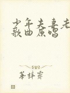 少年夫妻老来伴歌曲原唱
