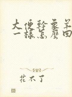 大便干象羊屎蛋一样怎么回事