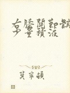 右膝关节髌上囊少量积液
