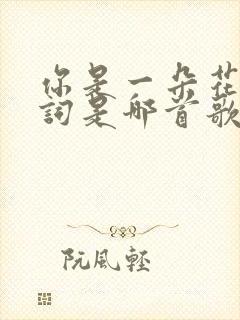 你是一朵花的歌词是哪首歌的