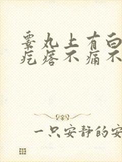 睾丸上有白色小疙瘩不痛不痒封面