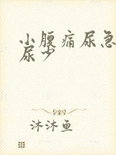 小腹痛尿急尿频尿少封面