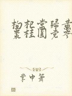 枸杞当归黄芪红枣桂圆党参是调理啥封面