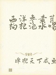 西洋参黄芪麦冬枸杞泡水喝能降血糖吗